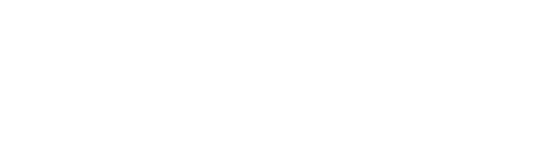 Ativo 17