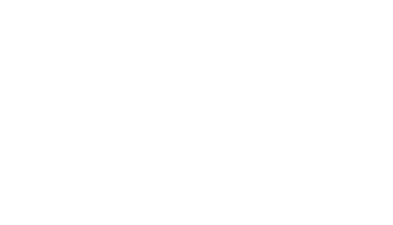 Ativo 19